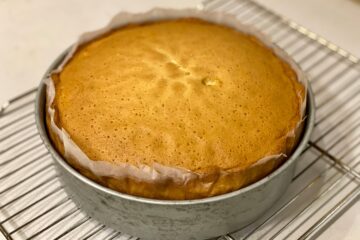 Sponge Cake